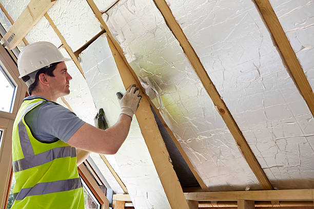 Best Eco-Friendly Insulation in Sunman, IN