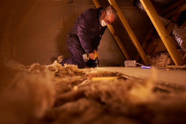 Best Cellulose Insulation in Sunman, IN